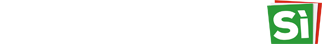 Noi Votiamo Sì